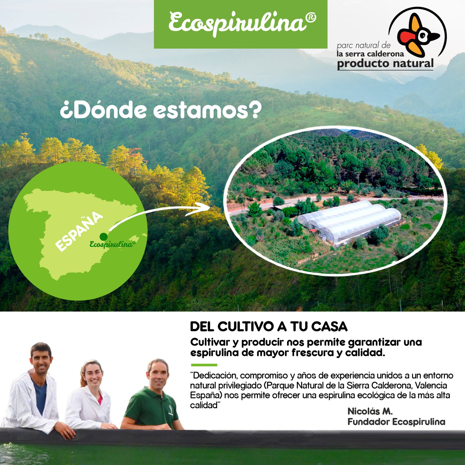 Espirulina ECO 100% pura en fideos producida en España - Imagen 5