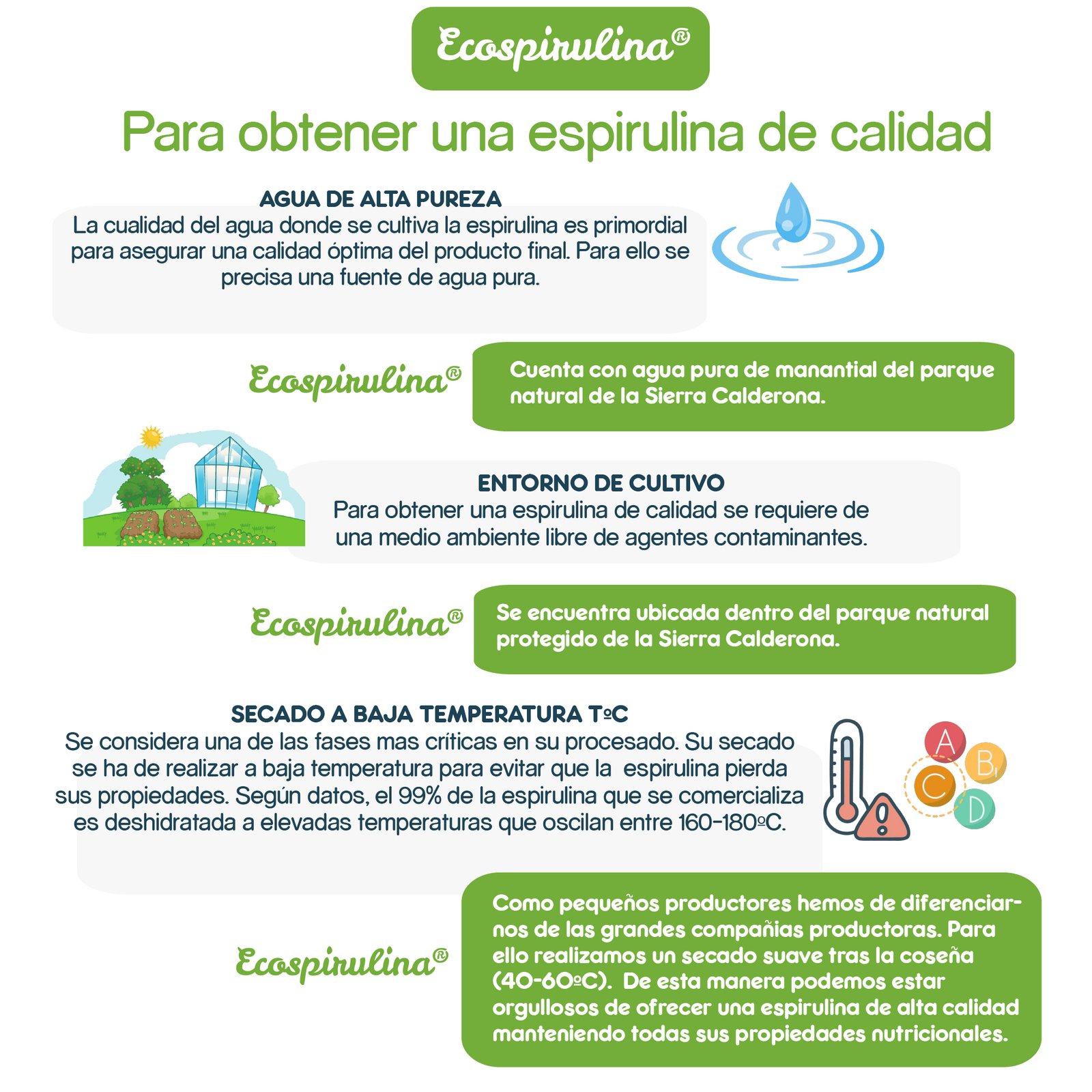 Espirulina ECO 100% pura en fideos producida en España - Imagen 6